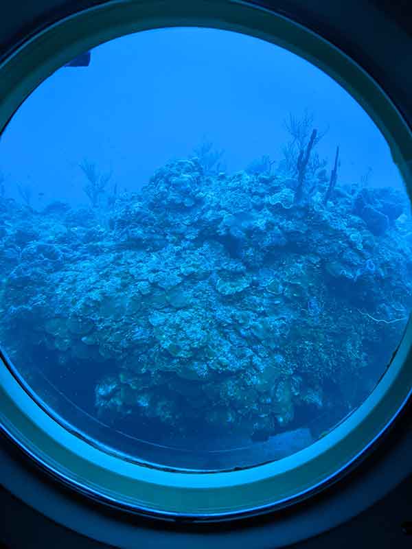 Coral reef: Atlantis Submarine Tour Mexico